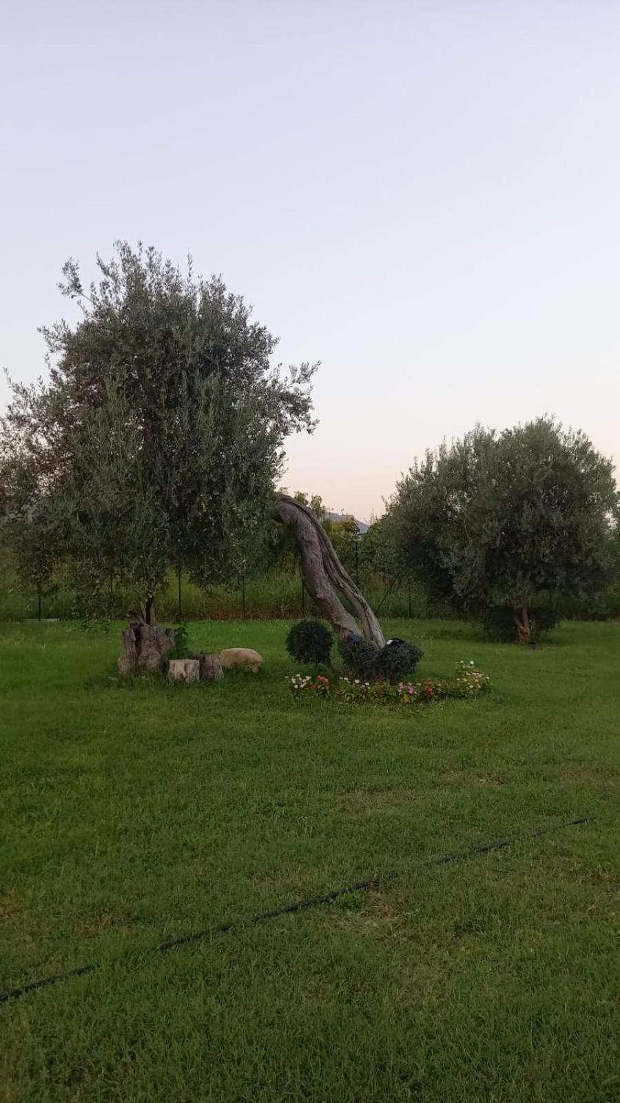 I Secolari Di Giulia Villa Avola Bagian luar foto